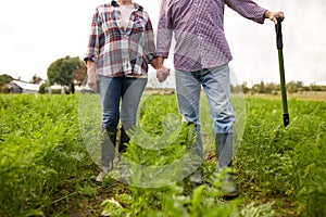 Happy senior couple at summer farm