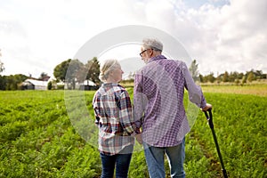 Happy senior couple at summer farm