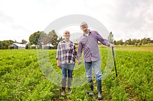 Happy senior couple at summer farm