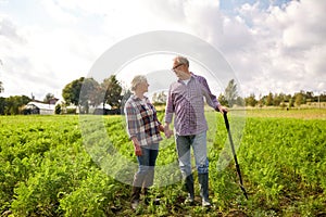 Happy senior couple at summer farm