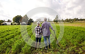 Happy senior couple at summer farm