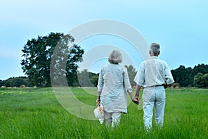 Happy senior couple in summer park, back view