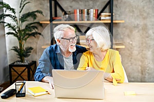 A happy senior couple is using the laptop indoor