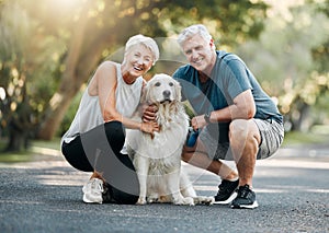 Happy senior couple, walking dog in nature park and smile bonding with their golden retriever together. Healthy living