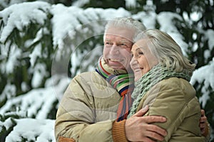 Happy senior couple walking in winter outdoors