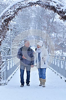 Happy senior couple walking at winter outdoors