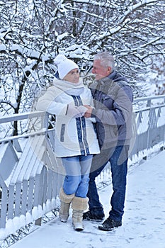 Happy senior couple walking at winter outdoors