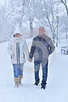 Happy senior couple walking at winter outdoors