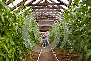 Happy senior couple working at farm greenhouse