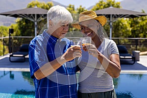 Happy senior diverse people having party, making toast in garden