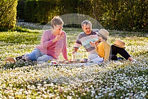 Happy senior family having picnic with grandson