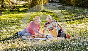 Happy senior family in straw hats having picnic with grandson