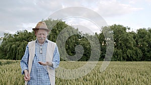 Happy senior farmer checks wheat grains in hands and talks at sky in field