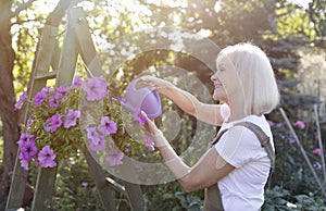 Happy senior lady watering flowers in hanging pots, enjoying gardening in her own summer garden