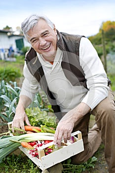 Happy senior man with basket full of fresh vegetables