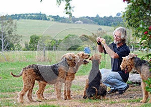 Happy senior man playing with his pack of loving loyal companion dogs photo