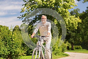 Happy senior man riding bicycle at summer park