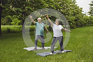 Happy senior man and woman enjoying yoga exercise practice in a green summer park