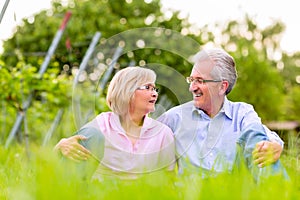 Happy senior man and woman in vineyard