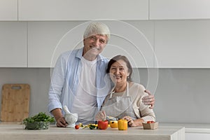 Happy senior retired family couple home portrait