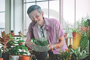 Happy Senior retired man is cutting plant inside his home for welness hobby lifestyle