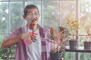 Happy Senior retired man spraying water on plant pot welness hobby lifestyle