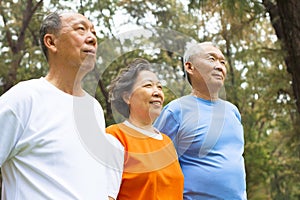 Happy senior sibling standing a row in park