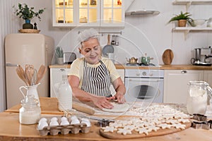Happy senior woman cooking in kitchen. Stylish older mature gray haired lady grandmother knead dough bake cookies. Old