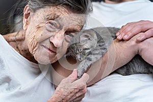 Happy senior woman cuddling and kiss, snuggle up to face small cute gray kitten, which held in arms by his grandson during visit