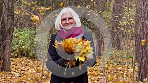 Happy senior woman holding autumn leaves smiling in nature forest. Portrait mature female with gray hair outdoors. Fall