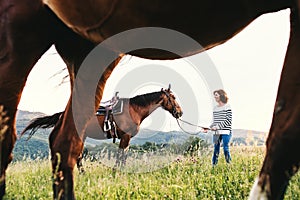 A senior woman holding a horse by his lead on a pasture.