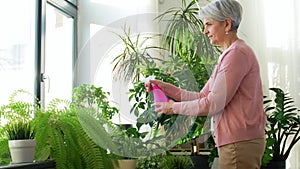 Happy senior woman spraying houseplants at home