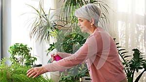 Happy senior woman spraying houseplants at home