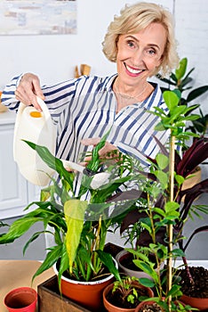 happy senior woman watering houseplants and smiling