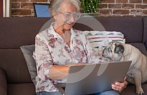 Happy senior woman working on laptop sitting on sofa at home, old pug dog looking at her