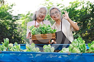 happy senior women with basket of vegetables and looking at camera