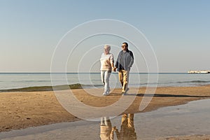 Happy seniors couple on the seaside