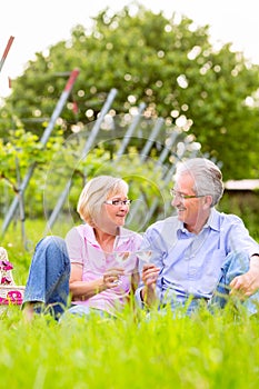 Happy seniors having picnic drinking wine