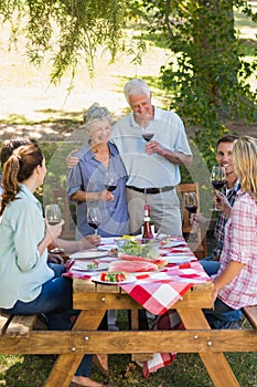 Happy seniors toasting with their family