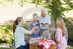 Happy seniors toasting with their family