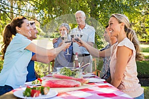 Happy seniors toasting with their family