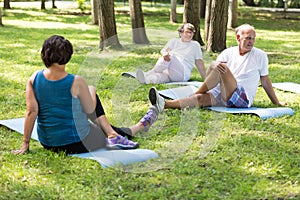 Happy seniors working out in a park