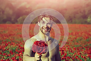 Happy sexy man with muscular body hold flower in field of red poppy on sunny natural background, Summer and valentines