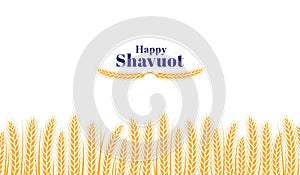 Happy shavuot background with gold wheat ears. Holiday in israel banner template, judaism festive. Organic agriculture