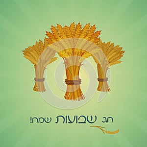 Happy Shavuot Jewish holiday greeting card. Sheaves of wheat