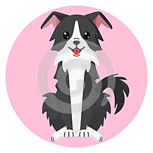 Happy sitting dark gray Border Collie dog with smile in flat style