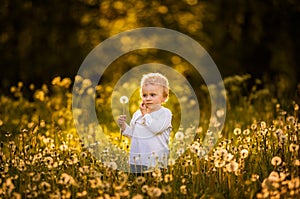 Happy small caucasian child blowing dandelion seeds