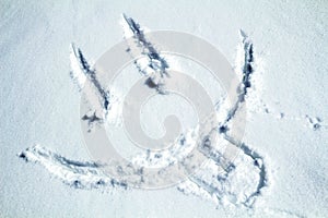 Happy smiley emoticon face in snow, winter season joy and happiness concept