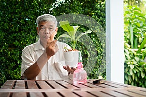 A happy and smiling Asian old elderly man is planting for a hobby after retirement in a home. Concept of a happy lifestyle and