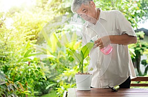 A happy and smiling Asian old elderly man is planting for a hobby after retirement in a home. Concept of a happy lifestyle and